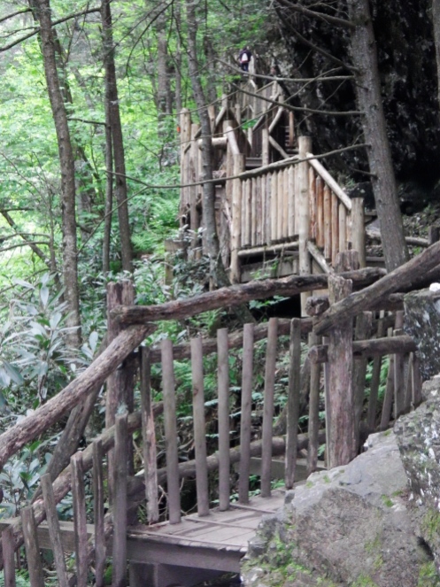 A complex system of boardwalks and steps take you along well-worn trails to the best views of each falls.