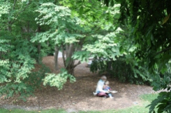 Peeking through the Wisteria tunnel finding a mom reading to her child under a Katsura. Sculpture by Seward Johnson.