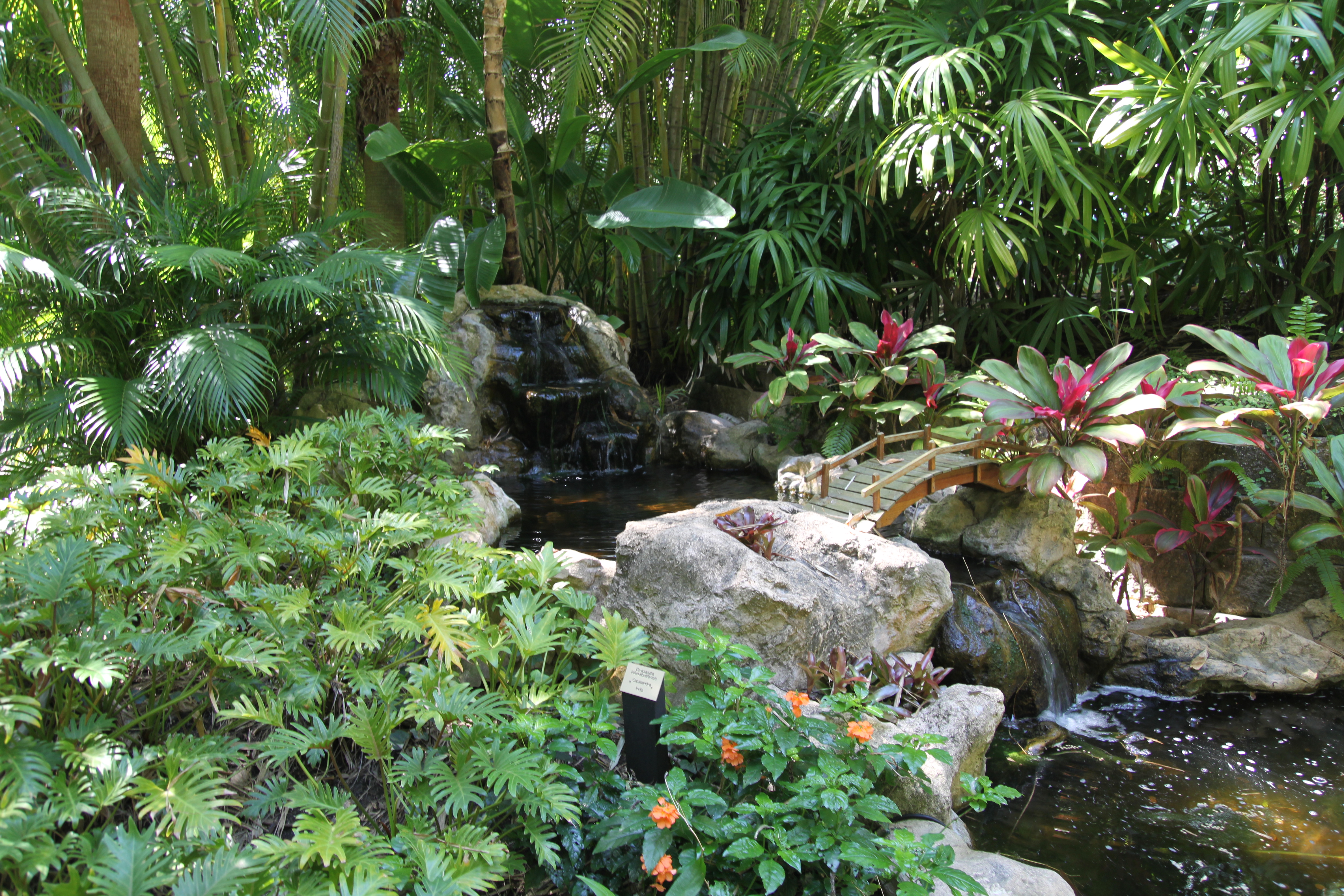 Sunken Gardens St Petersburg Florida Hort Travels