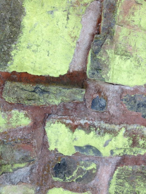 This foundation dates back to the early 1700s and these bright green lichen have taken a liking to it.